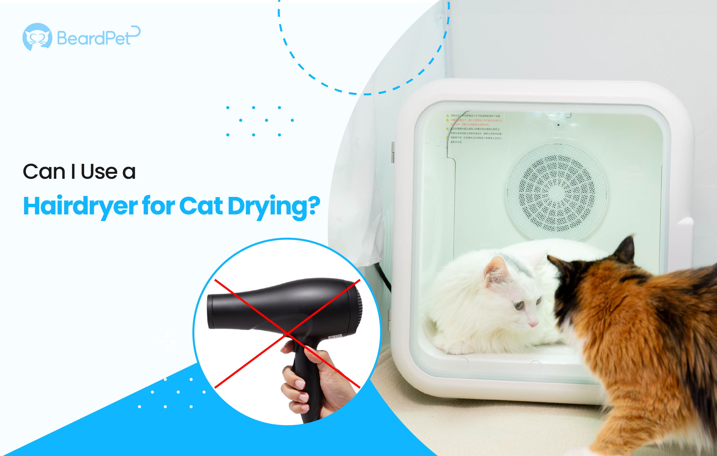 An application scenario or product detail of hair dryer for cats - Image 6