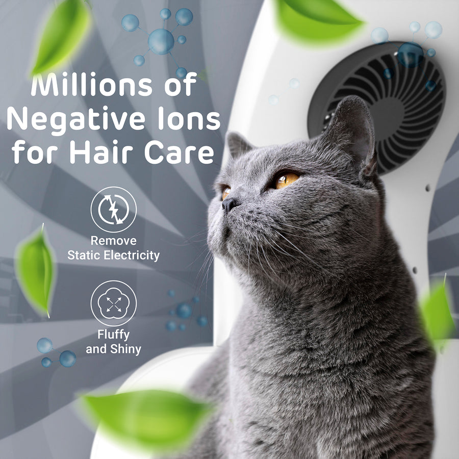 An application scenario or product detail of hair dryer for cats - Image 12