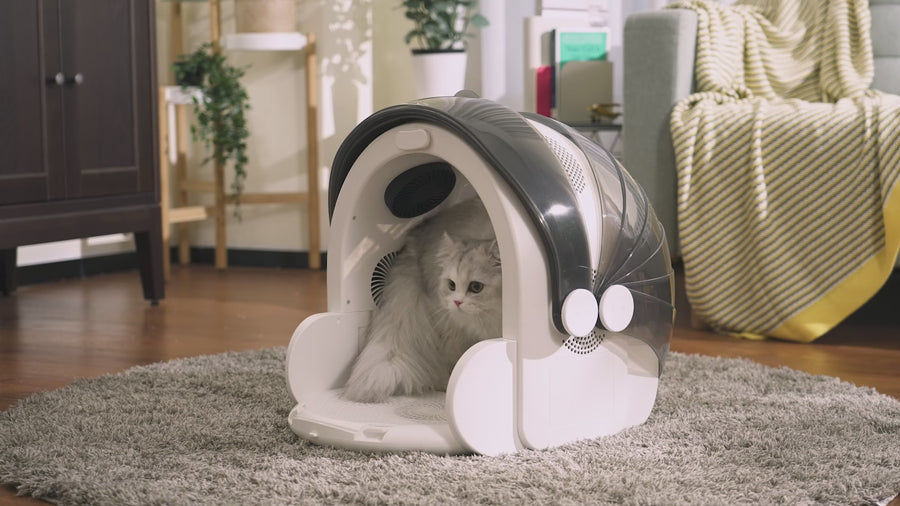 An application scenario or product detail of hair dryer for cats - Image 21