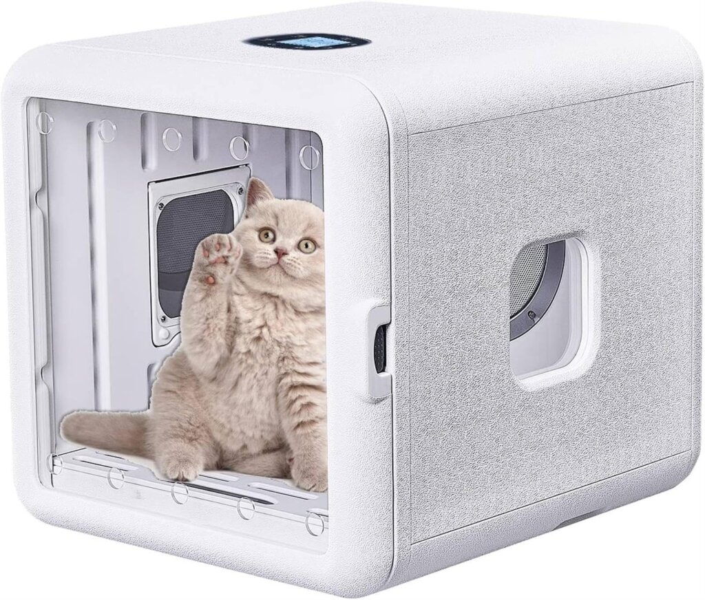 Featured image for the hair dryer for cats guide