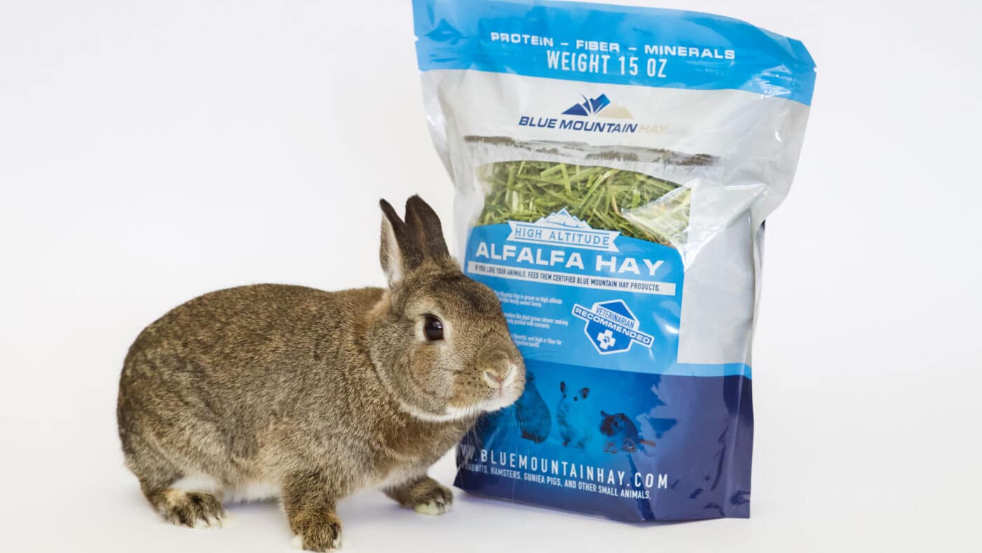 An application scenario or product detail of hay for rabbits - Image 9