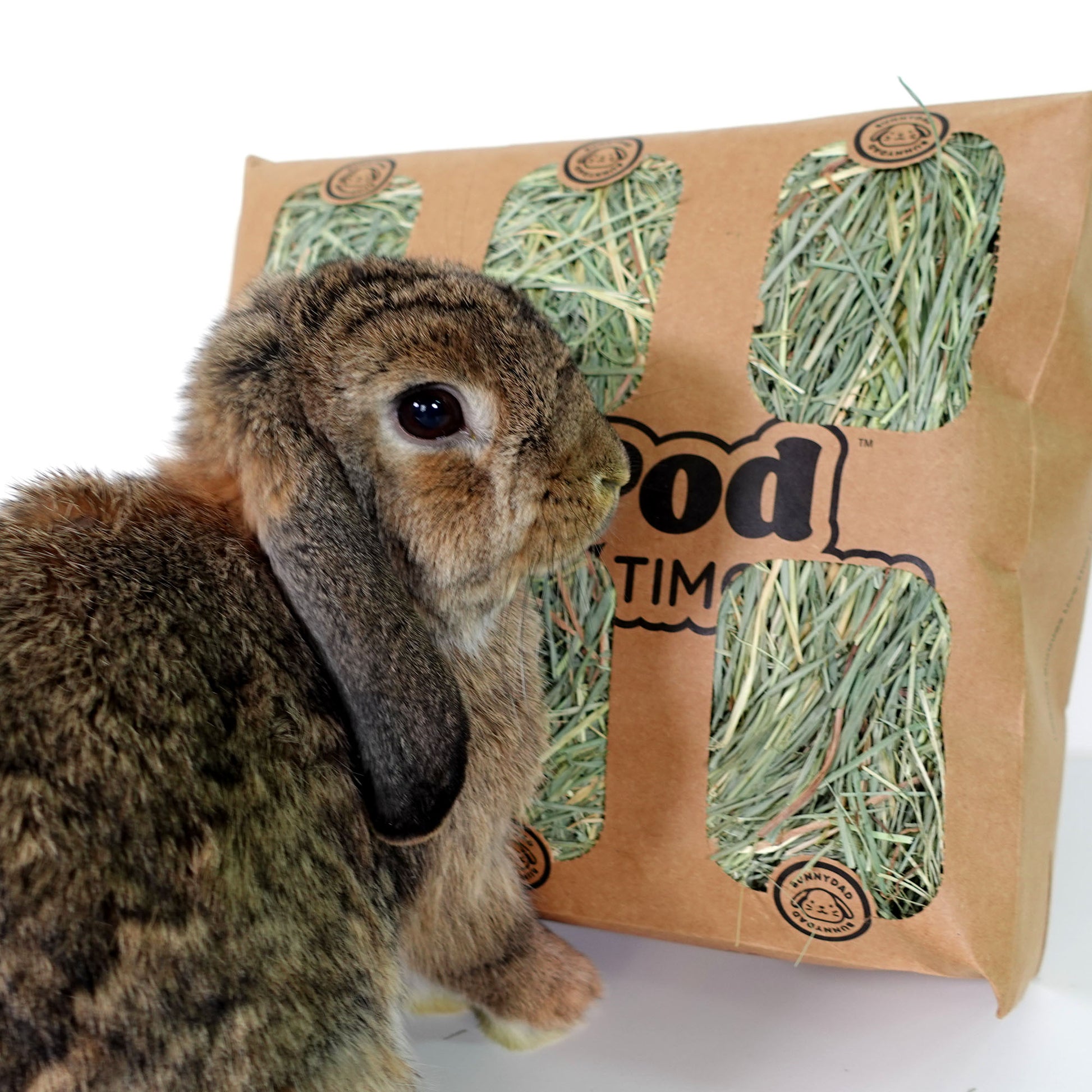 An application scenario or product detail of hay for rabbits - Image 10