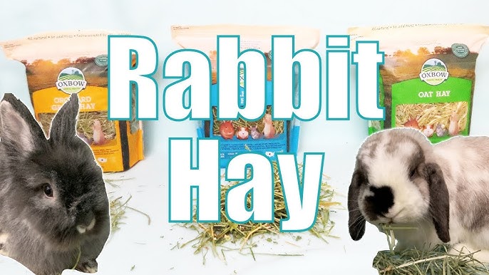 An application scenario or product detail of hay for rabbits - Image 12