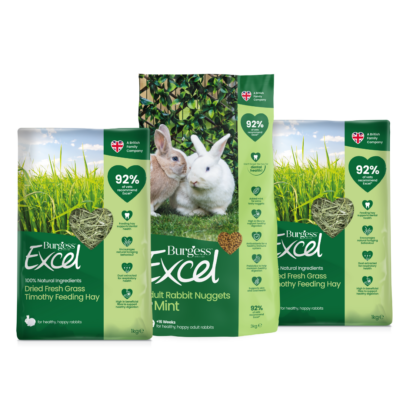 An application scenario or product detail of hay for rabbits - Image 15