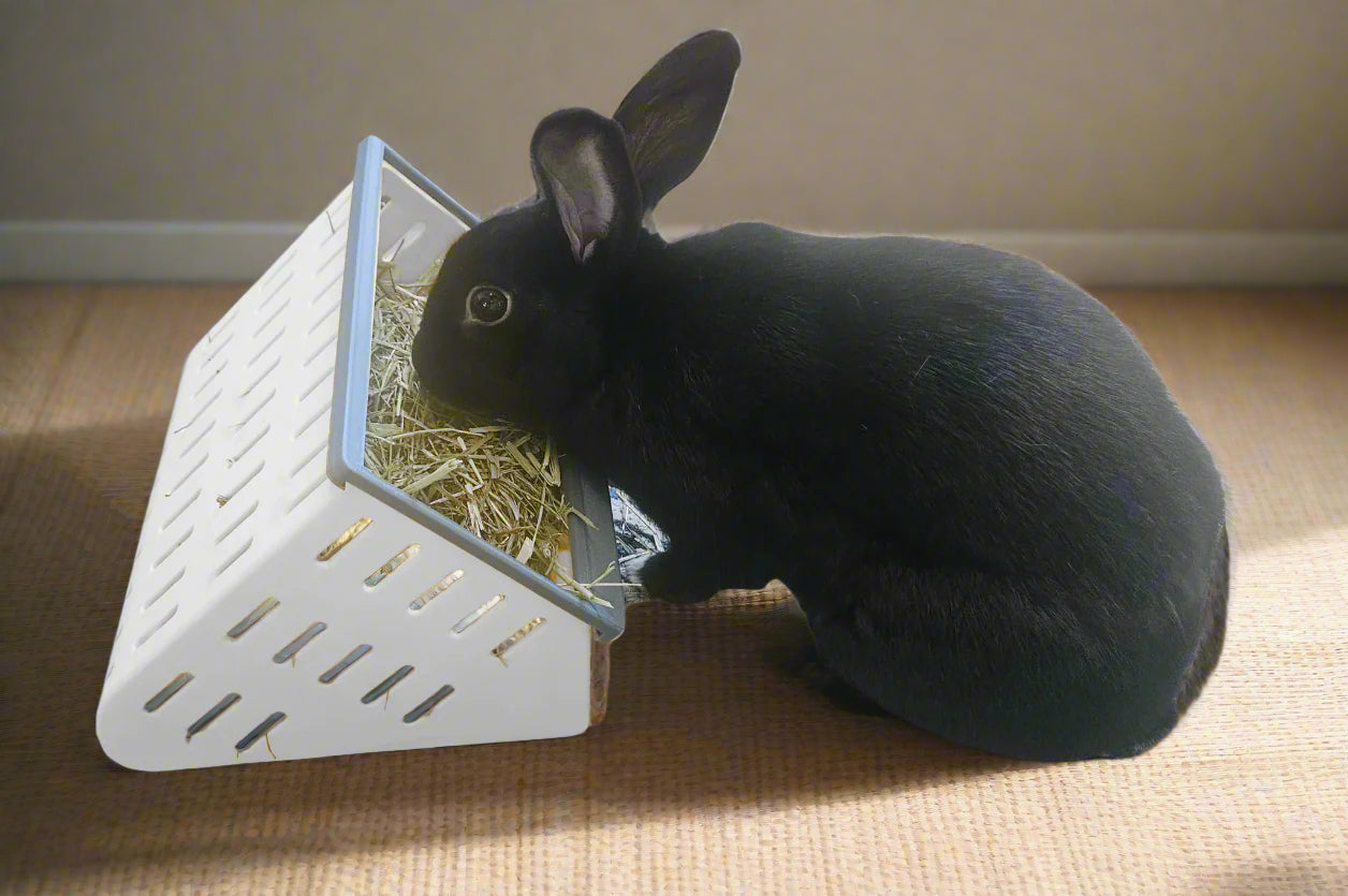 An application scenario or product detail of hay for rabbits - Image 18