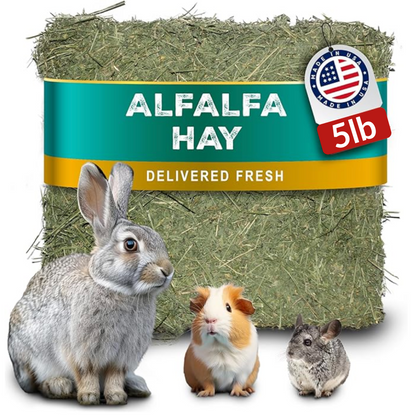 An application scenario or product detail of hay for rabbits - Image 19