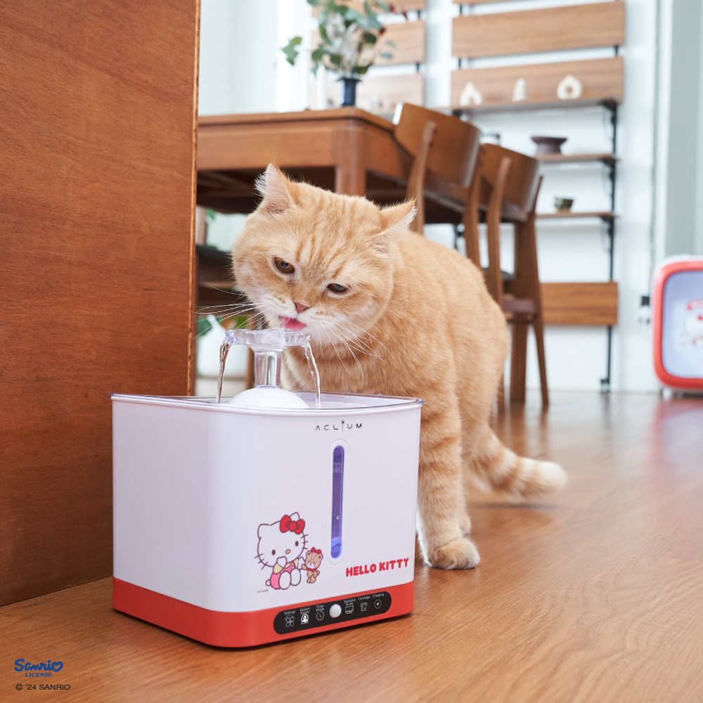 An application scenario or product detail of hello kitty water fountain - Image 8