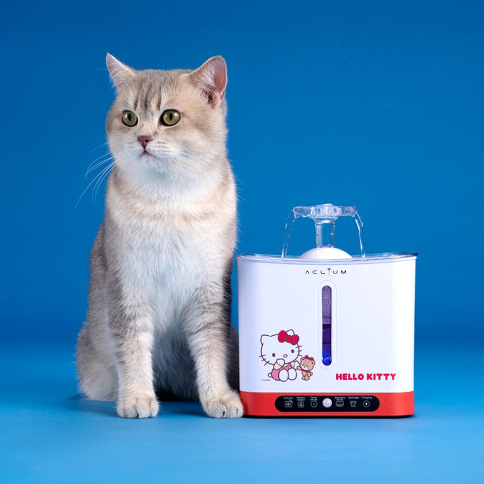 An application scenario or product detail of hello kitty water fountain - Image 19