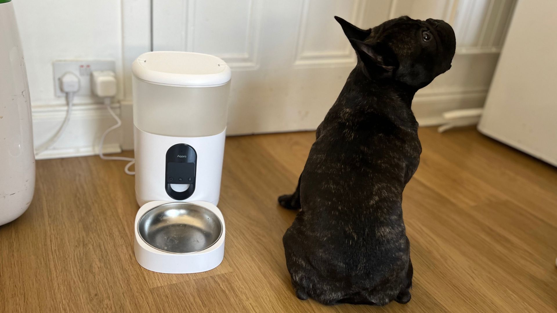 An application scenario or product detail of homekit pet feeder - Image 1