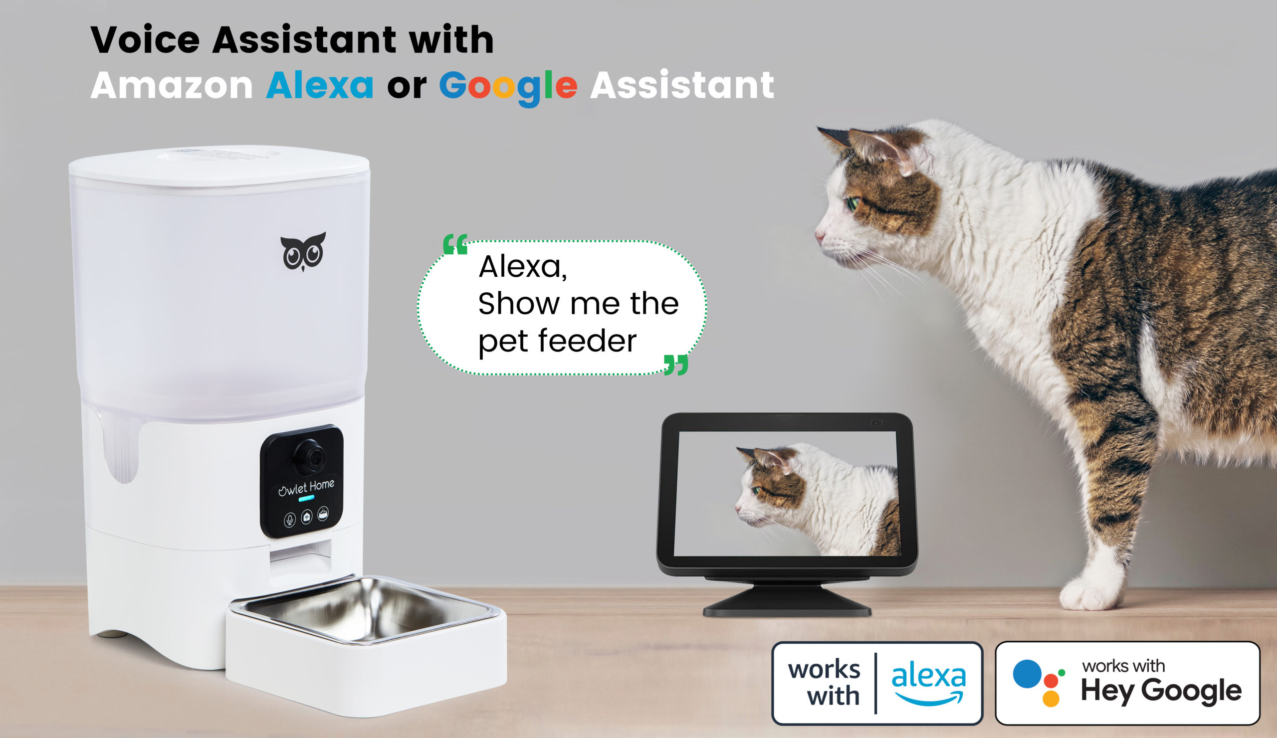 An application scenario or product detail of homekit pet feeder - Image 19