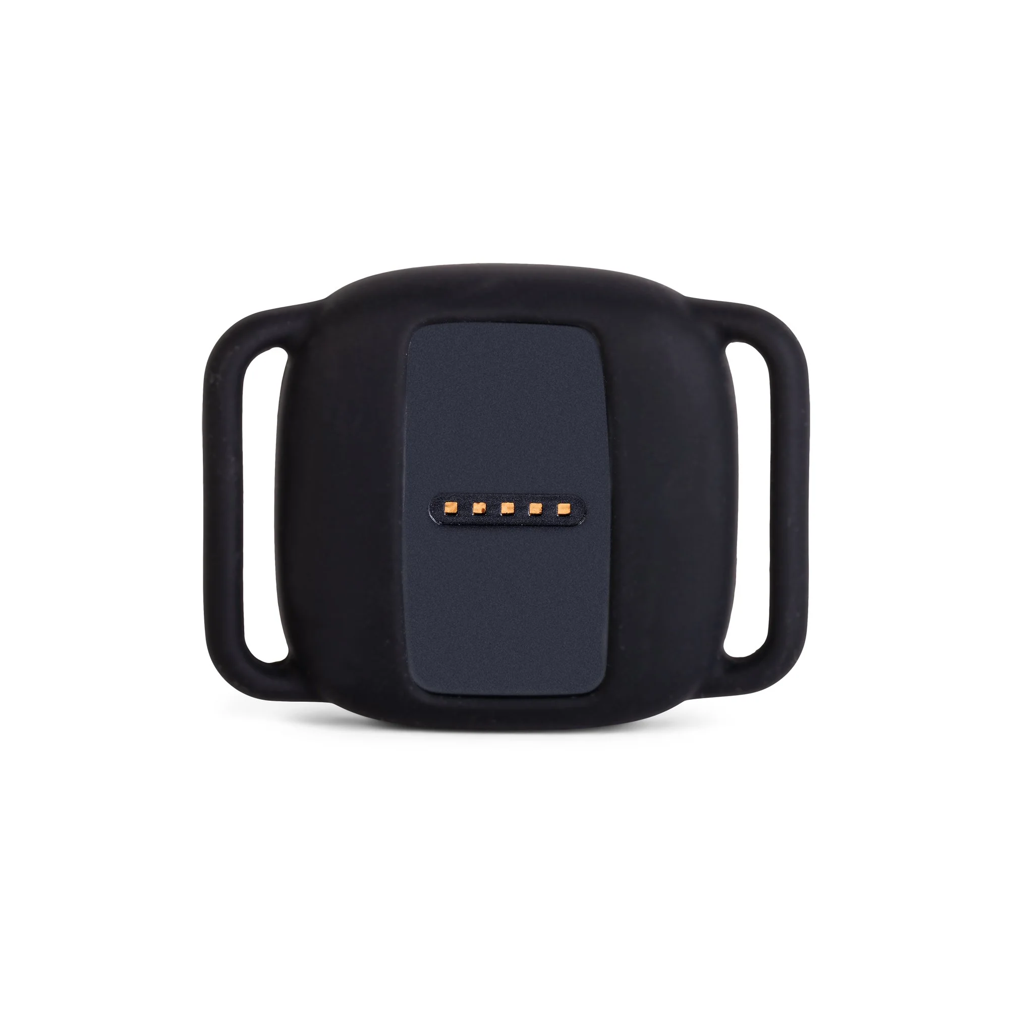 An application scenario or product detail of honeywell pet activity tracker - Image 13