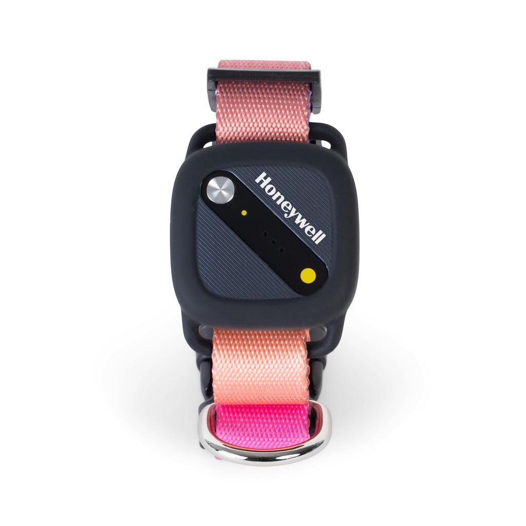 Featured image for the honeywell pet activity tracker guide