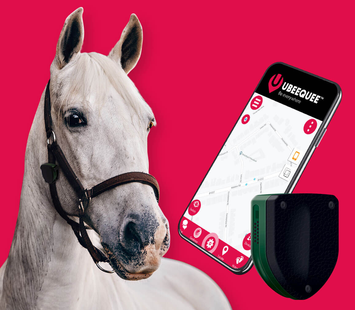 An application scenario or product detail of horse gps tracker - Image 3