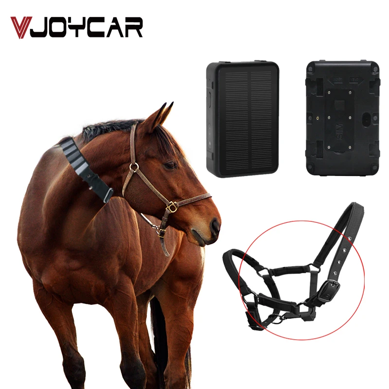 An application scenario or product detail of horse gps tracker - Image 10
