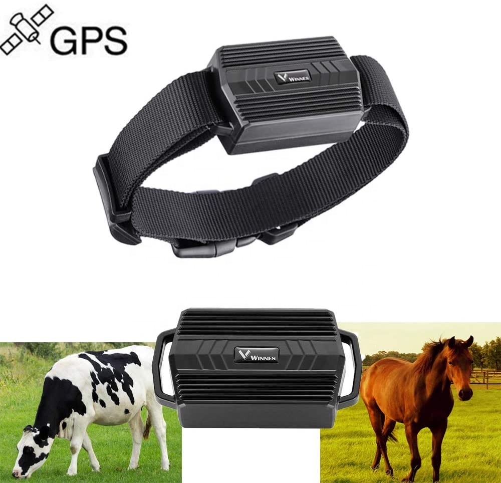 An application scenario or product detail of horse gps tracker - Image 18