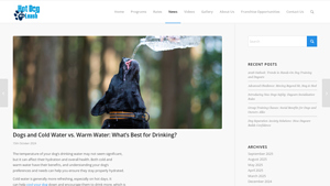 Hot Dog on a Leash - Water Benefits for Dogs