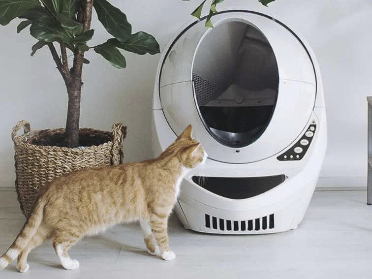 An application scenario or product detail of how do automatic litter boxes work - Image 8