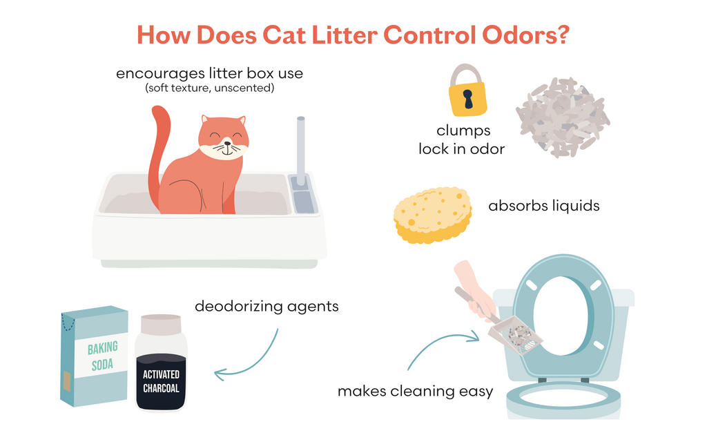 An application scenario or product detail of how do litter boxes work - Image 2