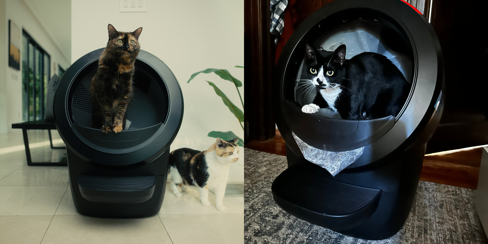 An application scenario or product detail of how do litter boxes work - Image 20