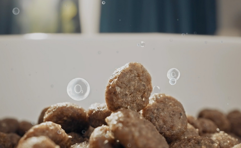 An application scenario or product detail of how long can you keep canned cat food out - Image 19