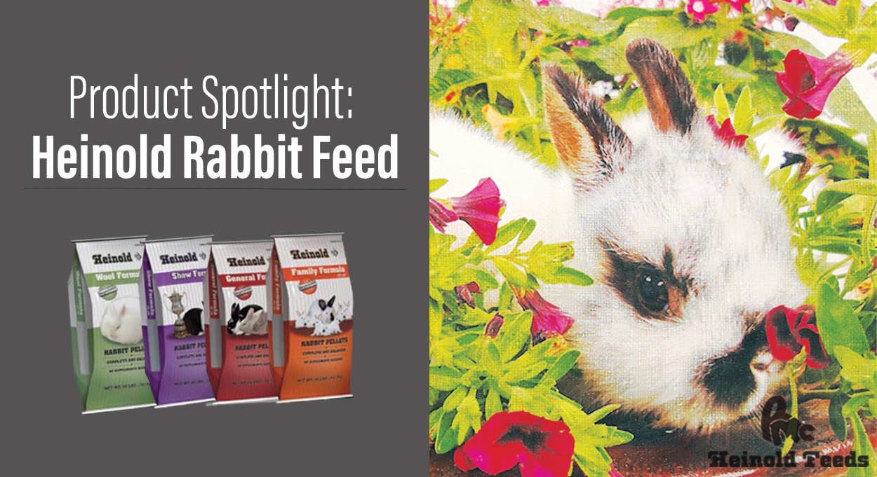 An application scenario or product detail of how much do i feed a rabbit - Image 23