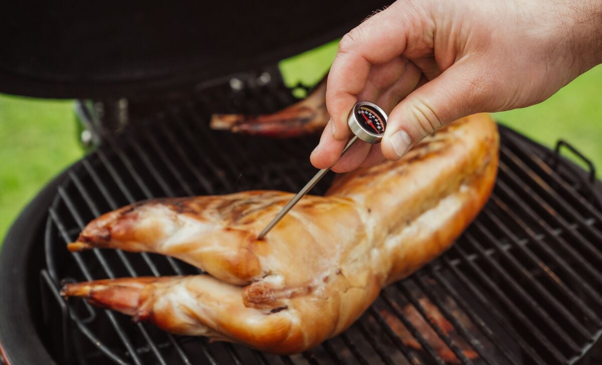 An application scenario or product detail of how much should a rabbit eat - Image 7