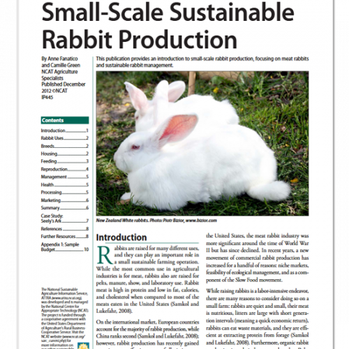 An application scenario or product detail of how much should i feed a rabbit - Image 14