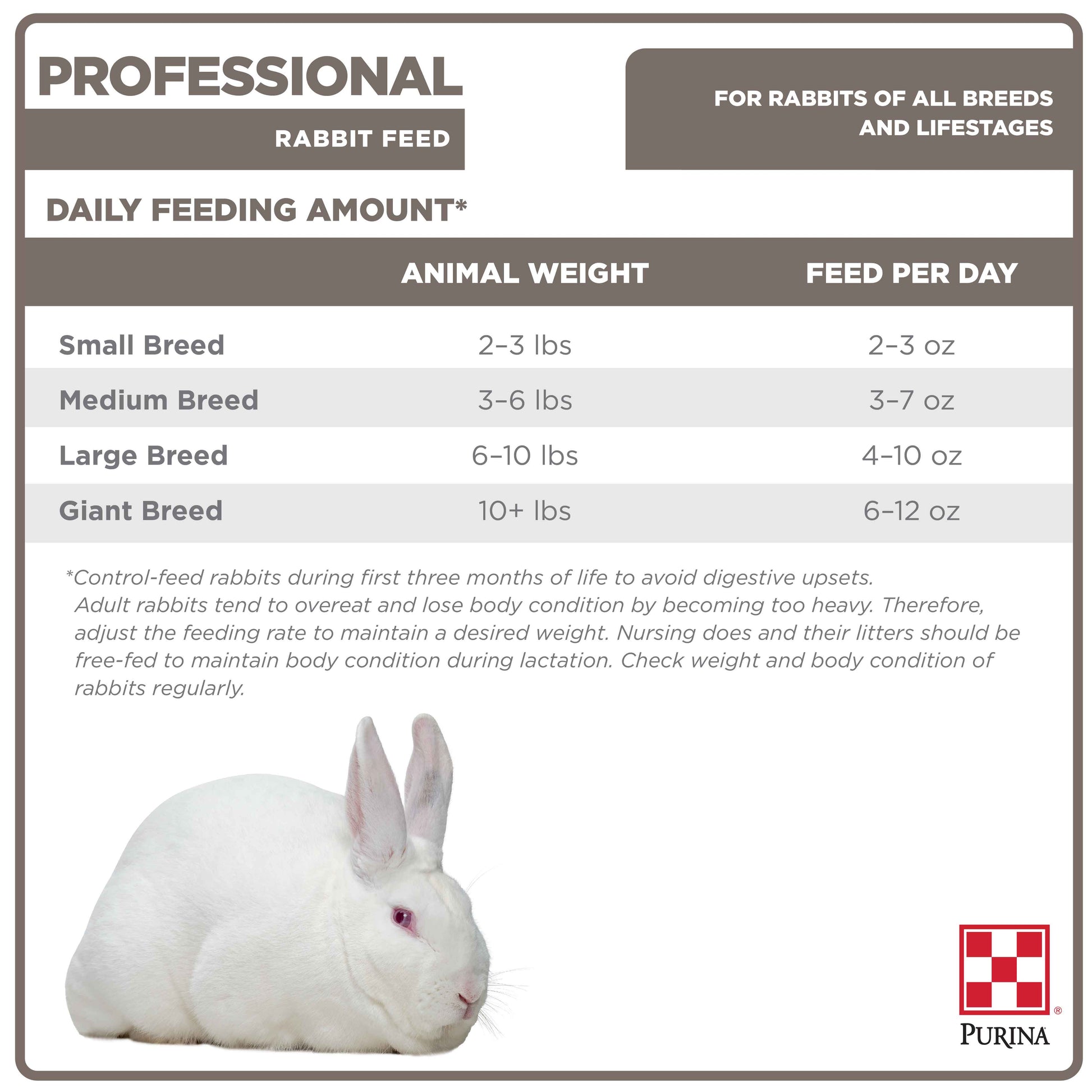 An application scenario or product detail of how much should i feed my bunny - Image 5