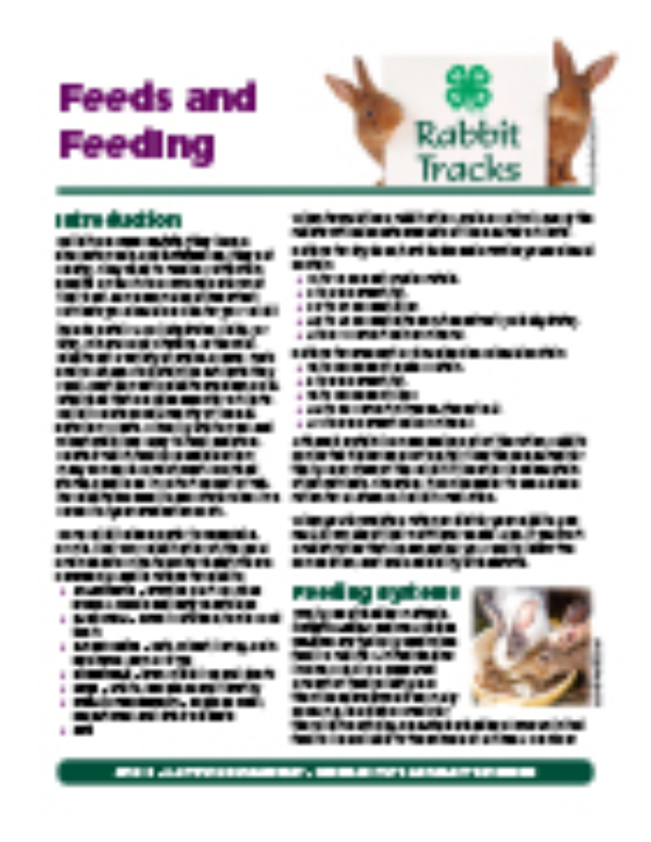 An application scenario or product detail of how much should i feed my rabbit - Image 21