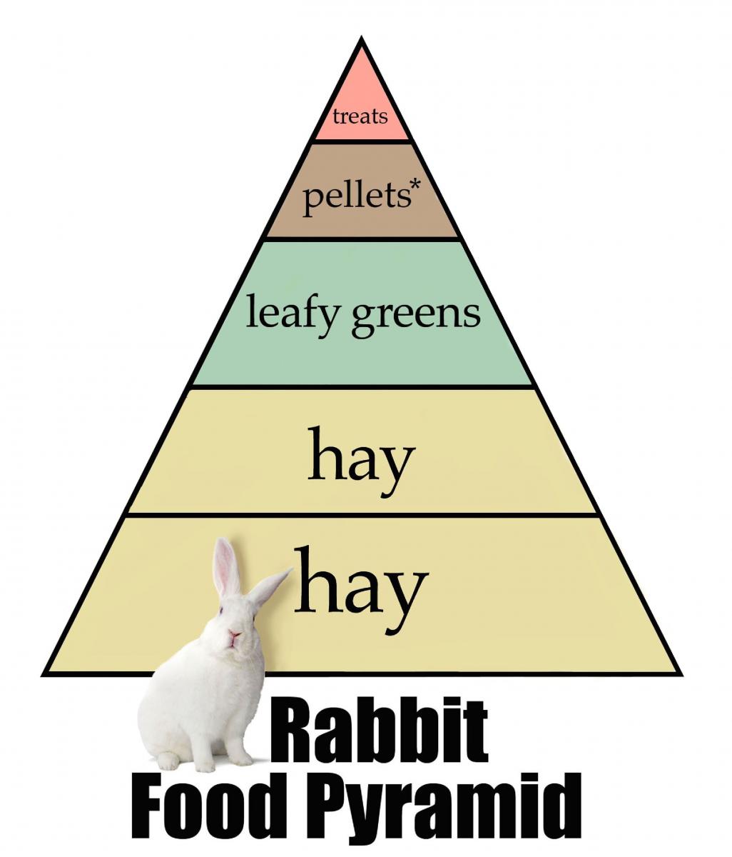 An application scenario or product detail of how much should my rabbit eat - Image 8