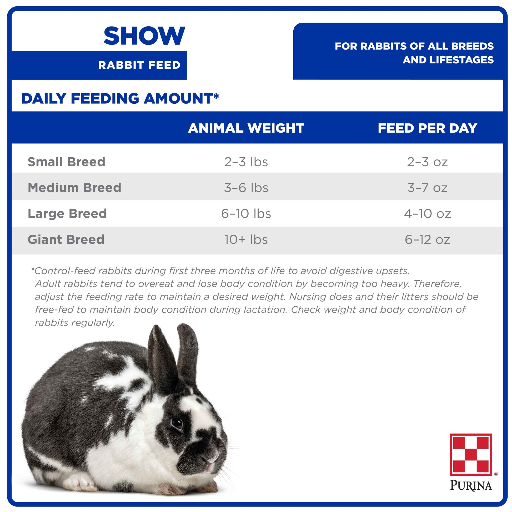 An application scenario or product detail of how much to feed bunny - Image 1
