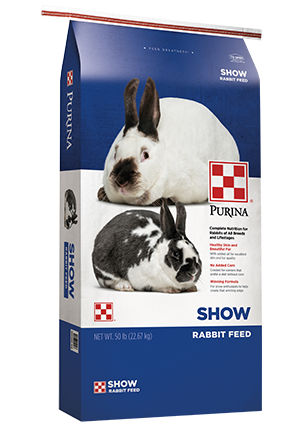 An application scenario or product detail of how much to feed bunny - Image 4
