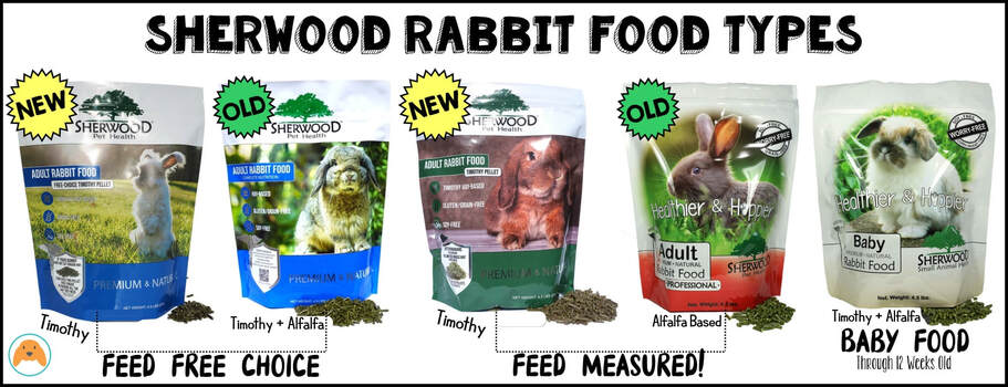 An application scenario or product detail of how much to feed bunny - Image 20