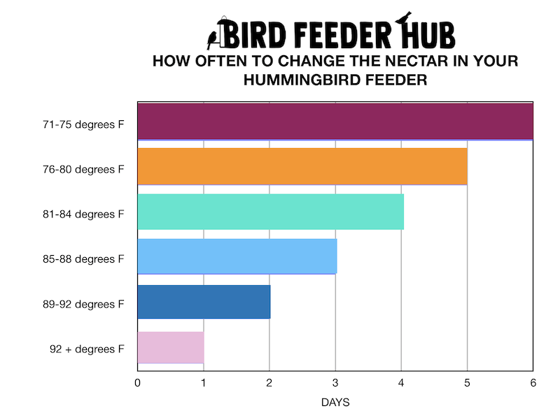An application scenario or product detail of how often change hummingbird food - Image 21