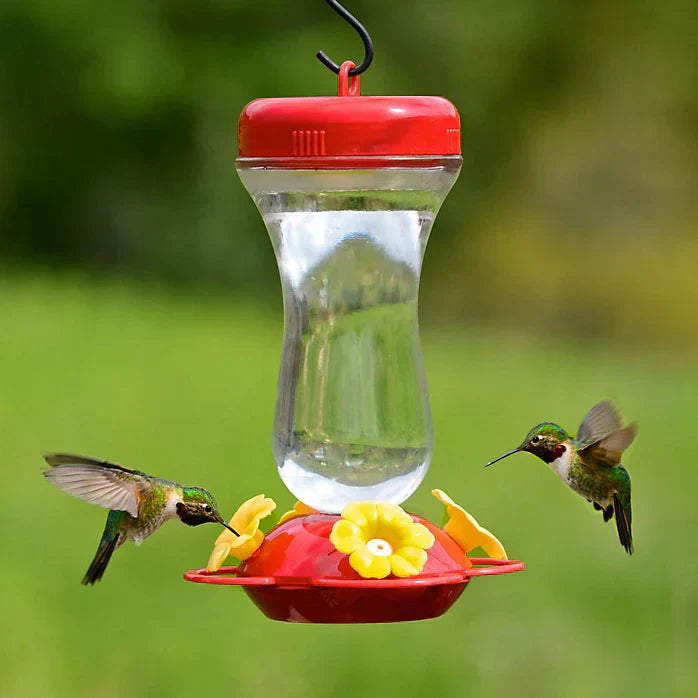 An application scenario or product detail of how often change hummingbird food - Image 23