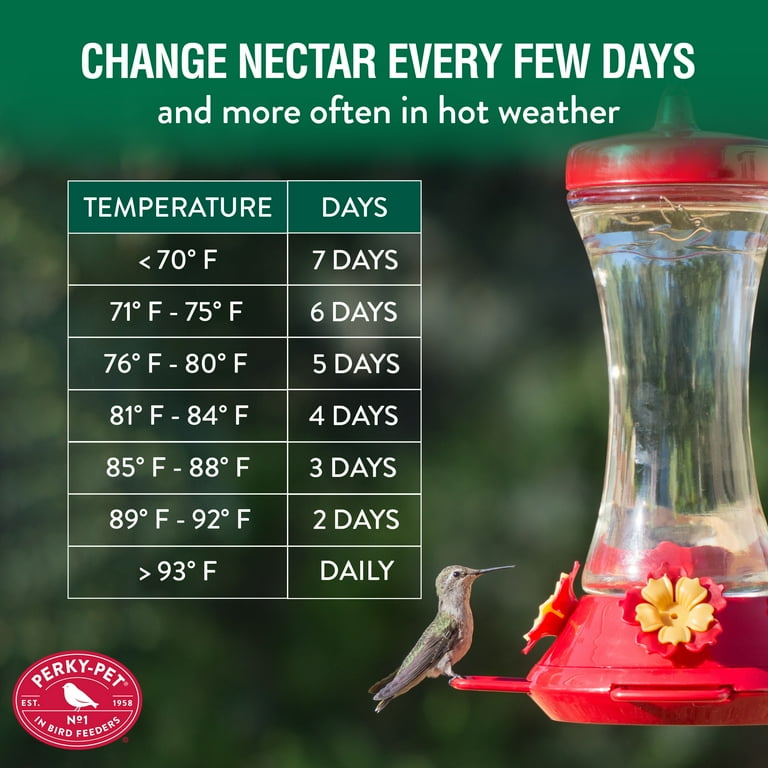 An application scenario or product detail of how often do i change hummingbird feeder - Image 17