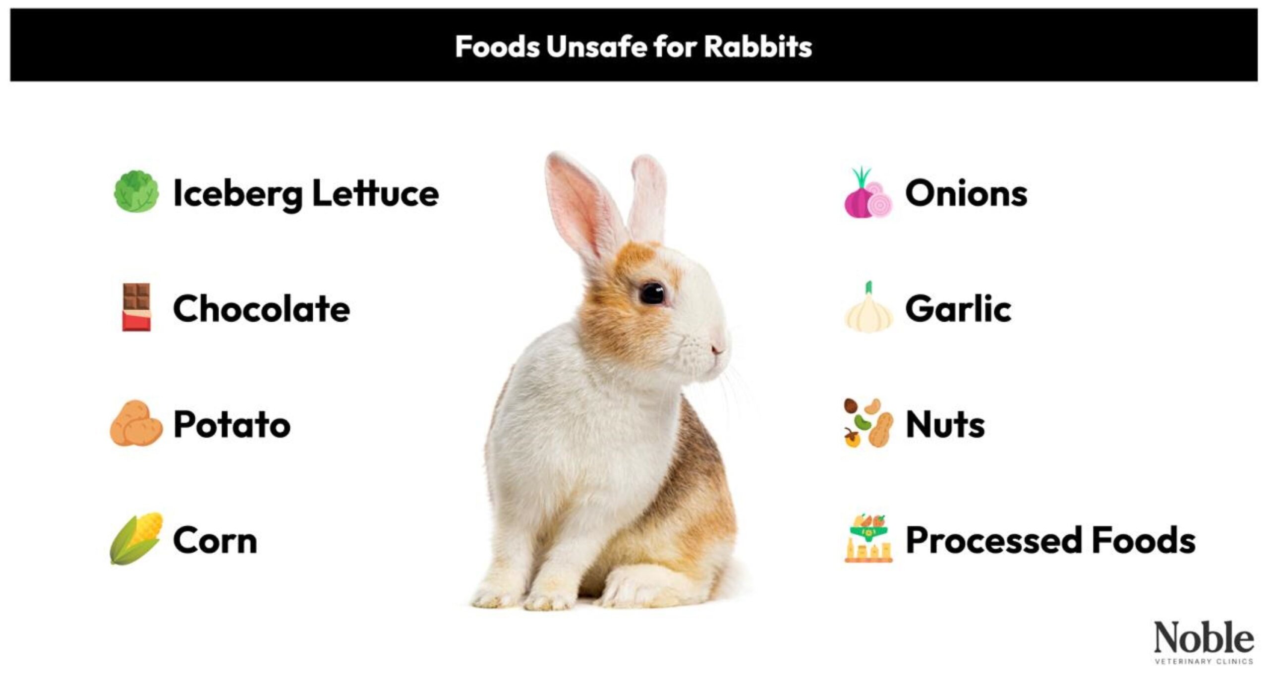 An application scenario or product detail of how often do rabbits eat - Image 18