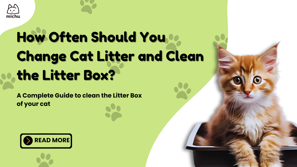 An application scenario or product detail of how often does cat litter need to be changed - Image 1