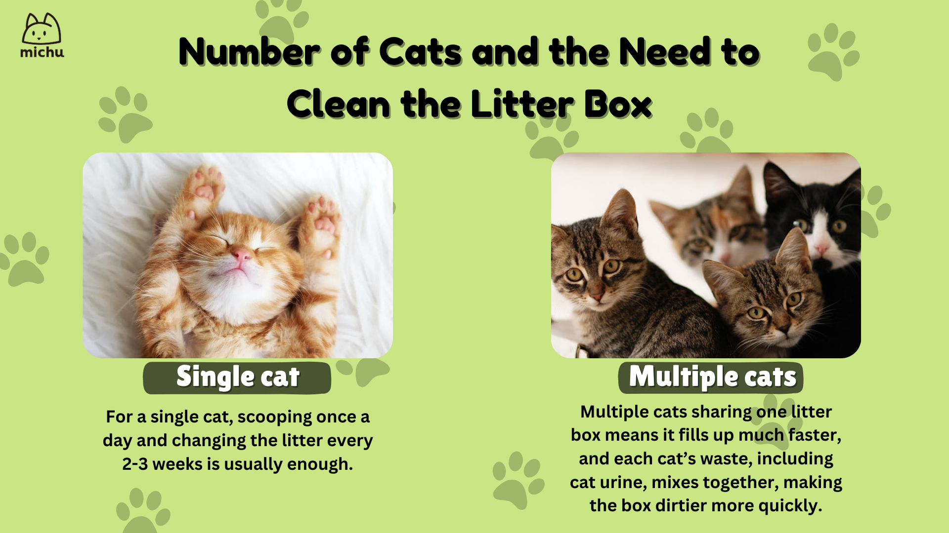 An application scenario or product detail of how often does cat litter need to be changed - Image 3