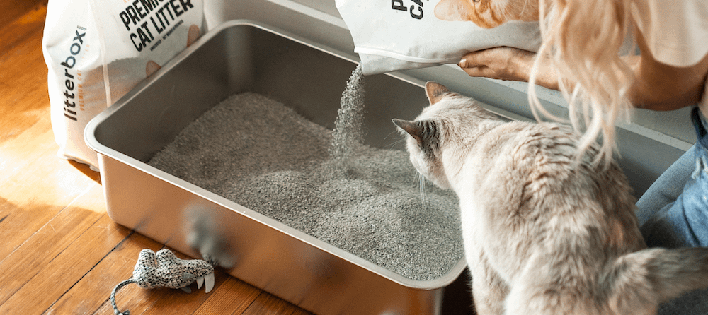 An application scenario or product detail of how often does cat litter need to be changed - Image 4