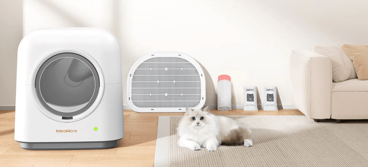 An application scenario or product detail of how often litter box change - Image 18