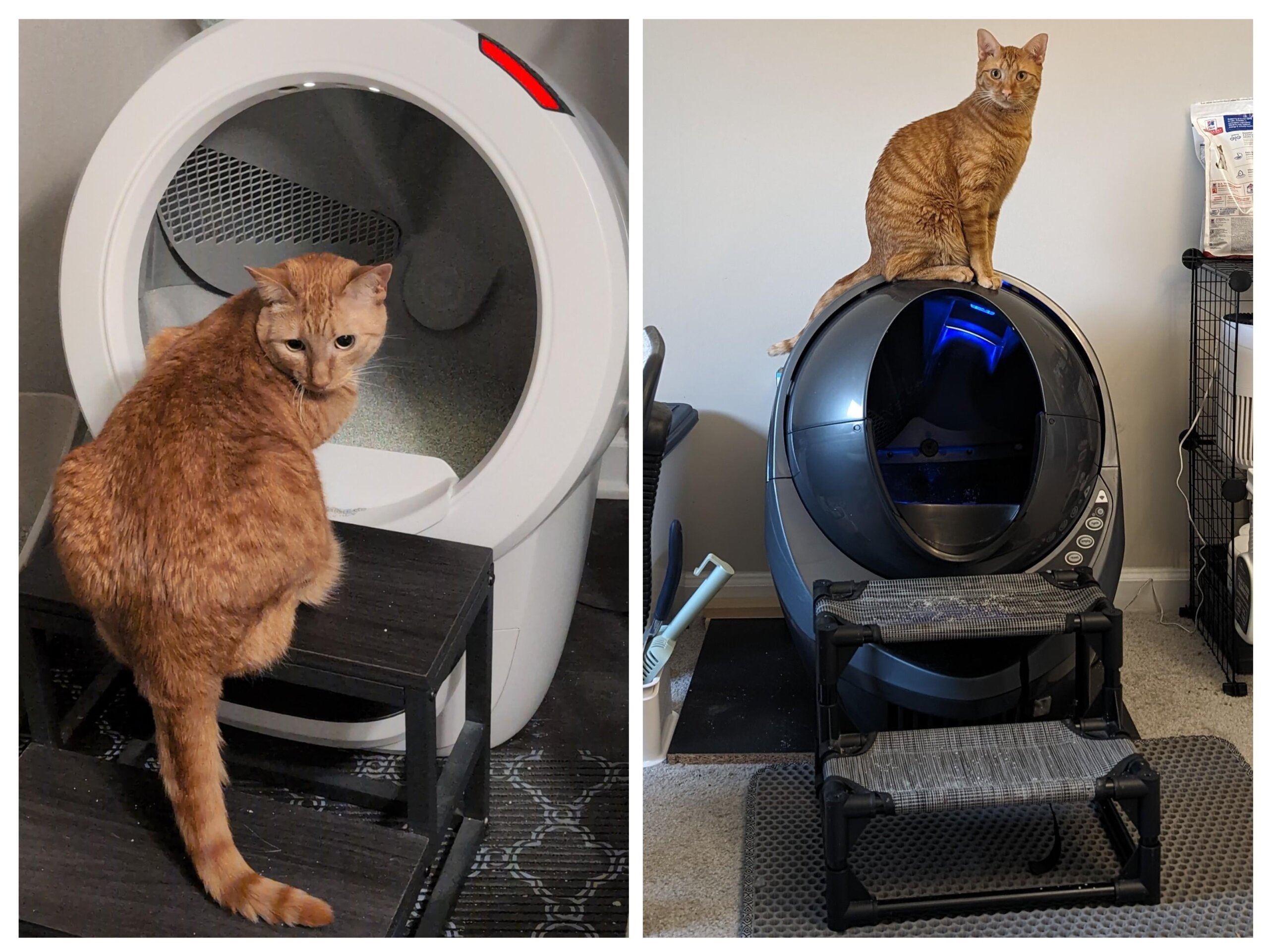 An application scenario or product detail of how often litter box change - Image 21