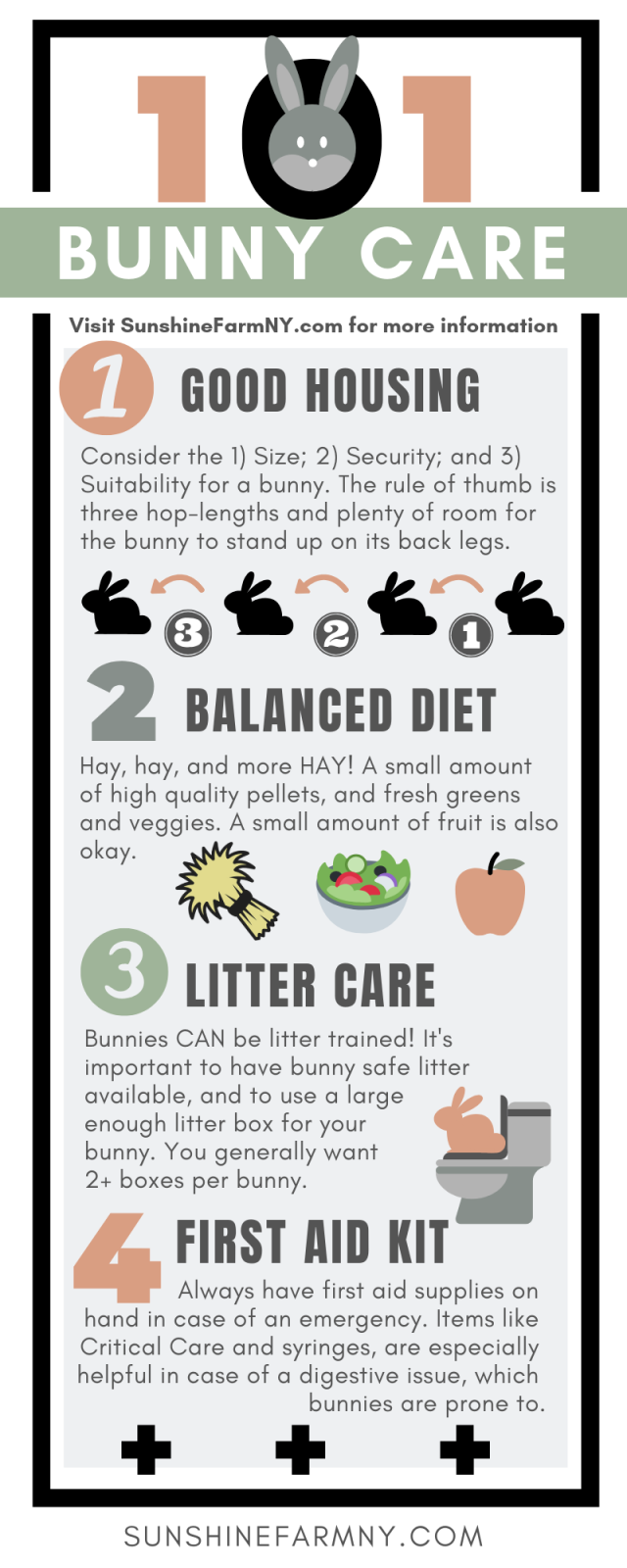 An application scenario or product detail of how often should a bunny eat - Image 19