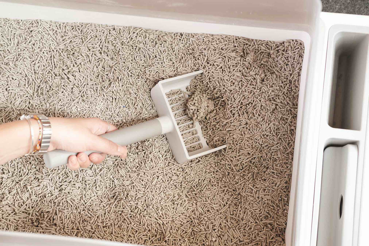 An application scenario or product detail of how often should a cat litter box be cleaned - Image 16