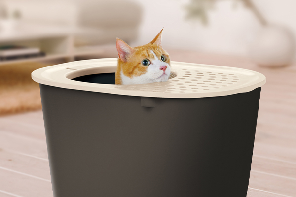 An application scenario or product detail of how often should a cat litter box be cleaned - Image 21