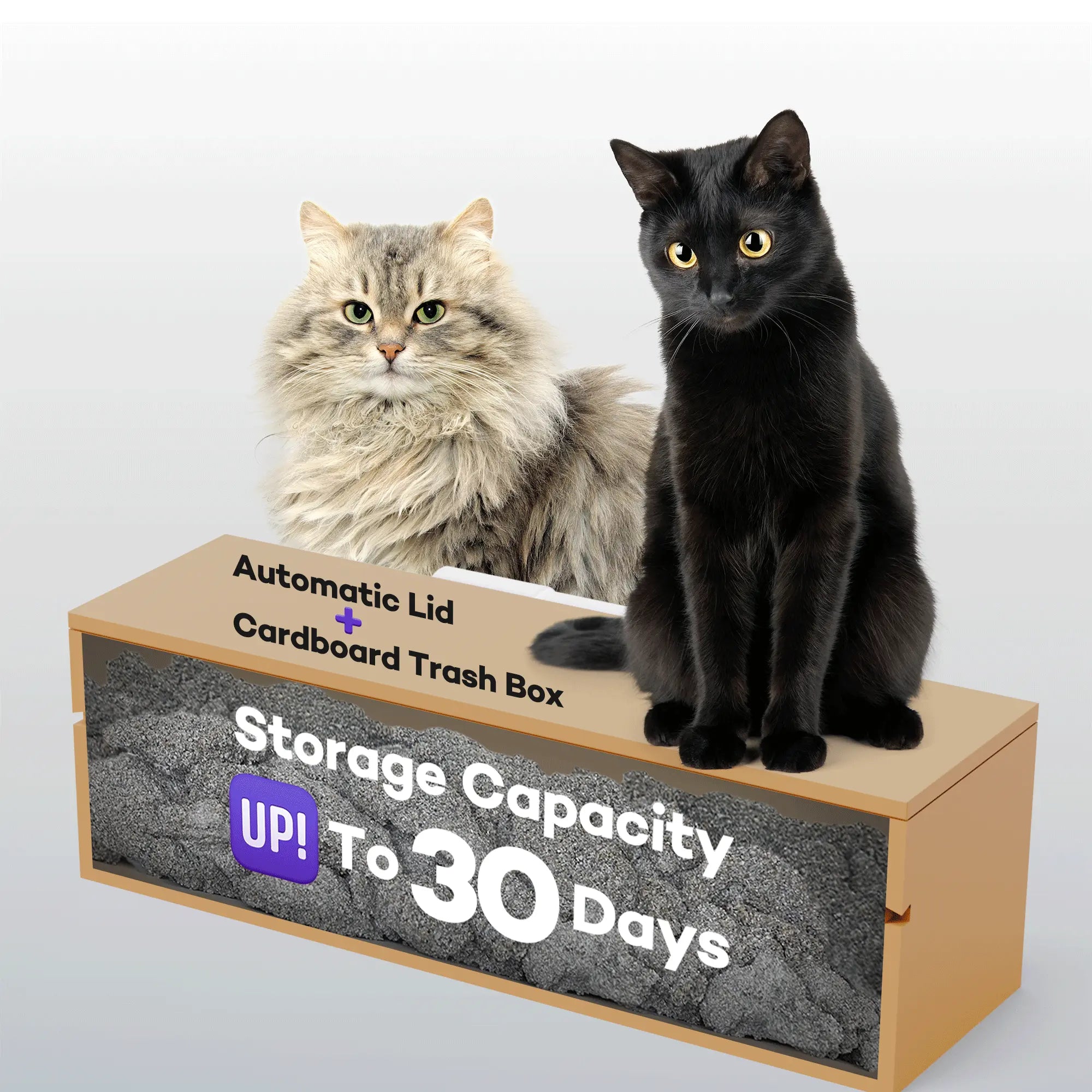 An application scenario or product detail of how often should cat use litter box - Image 20