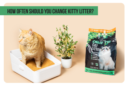 An application scenario or product detail of how often should i change cat litter - Image 22
