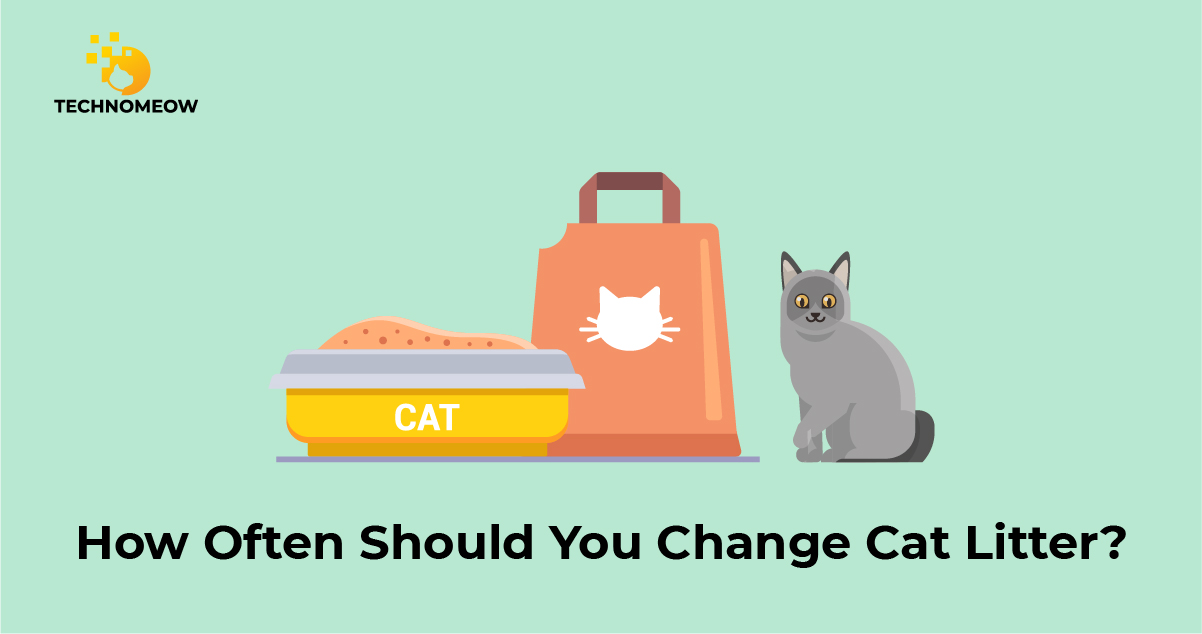 An application scenario or product detail of how often should i change the litter box - Image 9