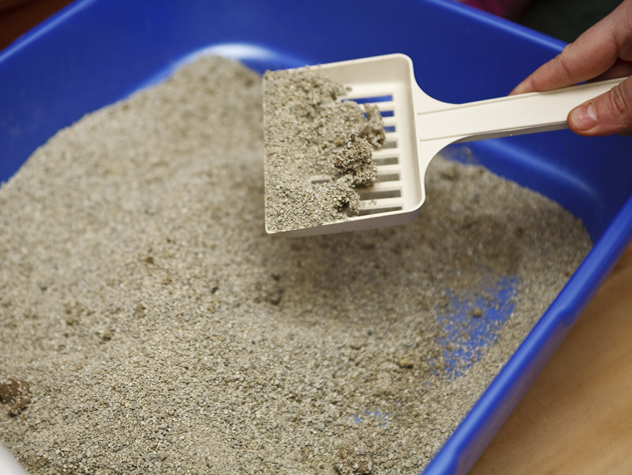 An application scenario or product detail of how often should i clean cat litter box - Image 6