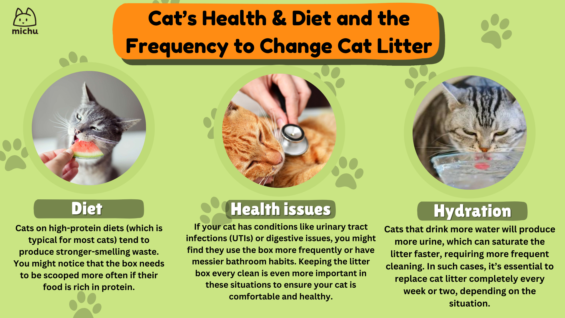 An application scenario or product detail of how often should i clean cat litter box - Image 8